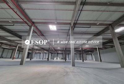 Constanta Business Park, hale Industriale, 7.000-30.000mp, 0%comision - 3