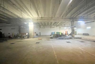 Hale industriale de inchiriat in zona Aradului - 2