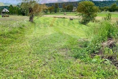 Spațiu comercial, în Berbești - 2