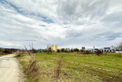 Teren Intravilan Zona Rezidentiala - 12