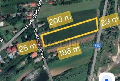 Teren Gruiu - 5000 mp - doua deschideri - intravilan