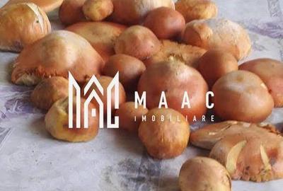 Casă cu 4 camere cu Teren 60000 Mp în Central - 19