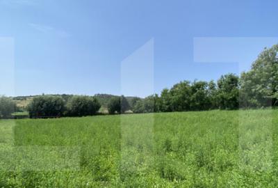 Teren intravilan 3.000 mp cu front stradal 30 m Sat. Moa - 6