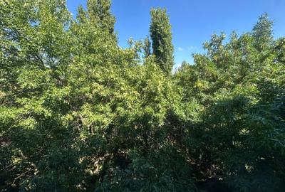 Apartament 4 camere, etajul 3/4, 2 grupuri sanitare, balcon mare, imbunatatiri - 5