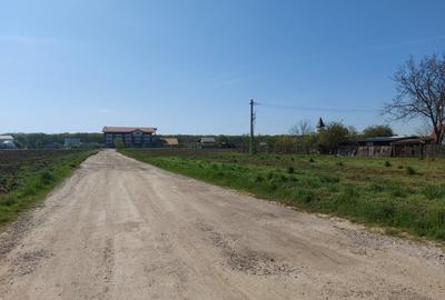 Teren 1.510mp la strada principala, dubla deschidere, Ciofliceni - Snagov! - 6