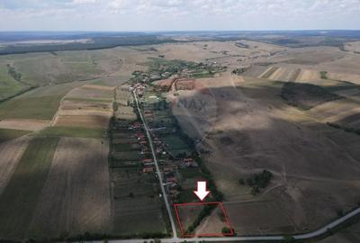 Teren Construcții intravilan de 4215 mp, în Teș - 1