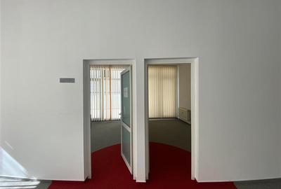 Birou, de 160 mp, în Romană - 17