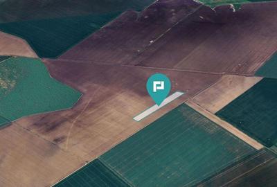 Teren 36.000 mp in Peciu Nou - 6