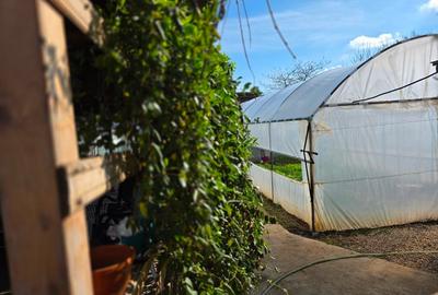 Casă individuală cu 4 camere cu Canalizare în Central - 9