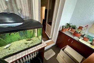 FILM& Tur 3D! Apartament trei camere, areal apreciabil, Reghin, Mures - 14