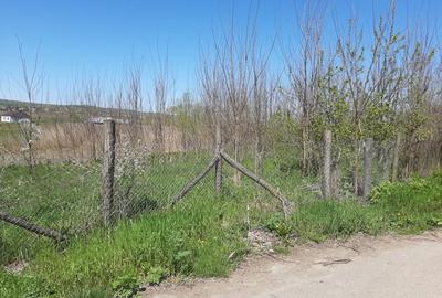 Spațiu comercial, în Lunca Rateș - 5