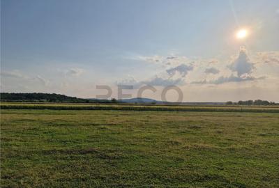 RECO parcele in Felcheriu - 6