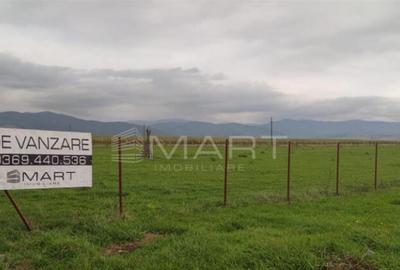 Teren de 30000 mp, în Prejmer - 1