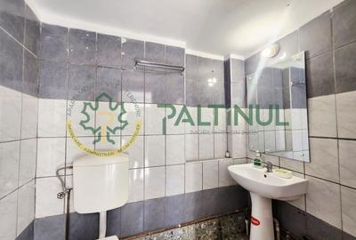 Casă Nucet, 864 mp teren cu pomi fructiferi - la 21 km de Sibiu - 9