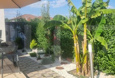 Casă cu 3 camere cu Teren 300 Mp în Dumbrăvița - 3