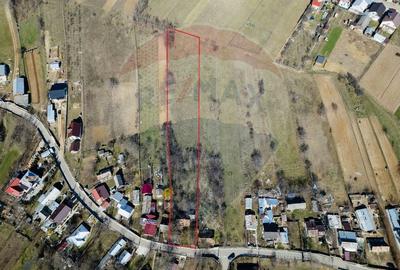 Teren Construcții intravilan de 3800 mp, în Burdujeni - 3