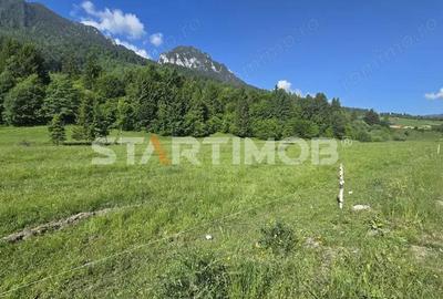 Teren intravilan Zarnesti Plaiul Foii - 11