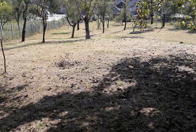 Casă cu 2 camere în Gârdani - 4