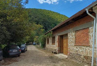 Casă cu 3 camere în Moceriș - 8