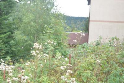 Teren de 1300 mp, în Valea Alba