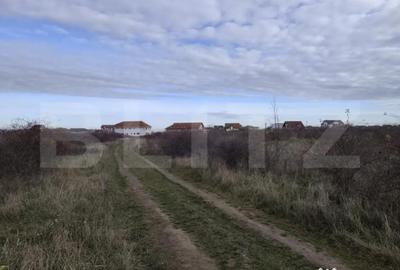 Teren de 10925 mp, în Sânmartin - 2