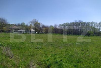 Teren Construcții extravilan de 29600 mp, în Nord-Vest - 6