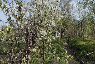 Casă cu 4 camere în Comișani - 1