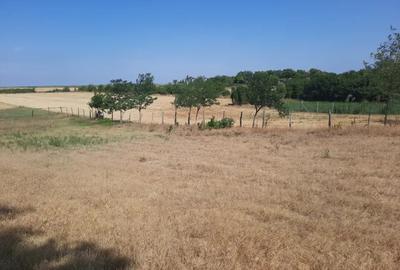 Vand casa la ?oseaua principala (DN 561) - 3