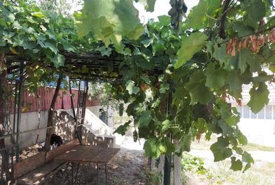 Casă cu 4 camere în Aldești - 3