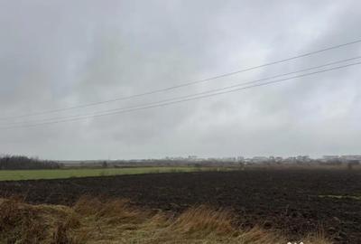 Teren în Lumina - 7