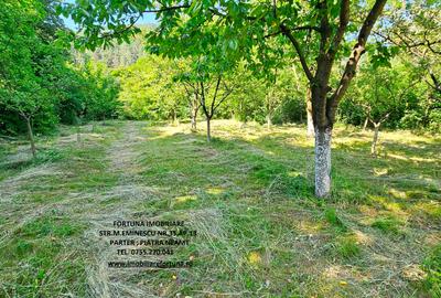 Proprietate la 5 km de oras- Vila P+1+ 5600 mp teren - 9