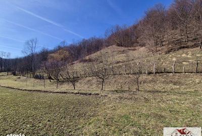 Casă cu 1 camere cu Teren 55 Mp în Fărău