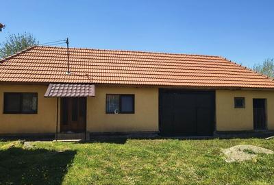 Casă cu 4 camere în Brotuna - 10