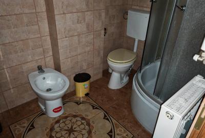 Apartament 3 camere mobilat si utilat CRISTIAN - 14