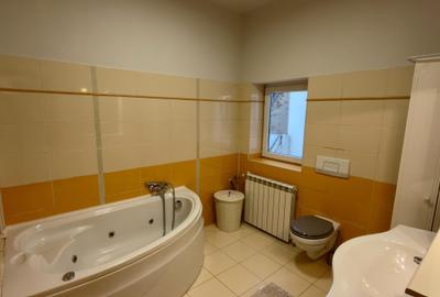 Inchiriere apartament 3 camere Plevnei, strada Stefan Furtuna ! - 16