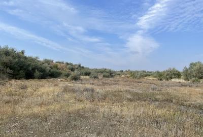 Ovidiu 6 ha teren intravilan construibil îngrădit și platforma betonata. - 19