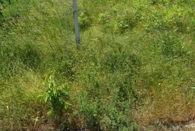 Teren vanzare Holboca 1100mp - 2