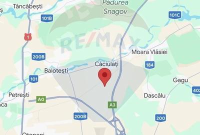 Teren intravilan 15.100 mp de inchiriat - acces A3, Caciulati, Ilfov - 1