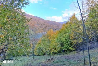 Teren de 2000 mp, în Valea Doftanei - 4