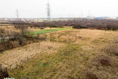 Spațiu comercial, în Calea Clujului - 3