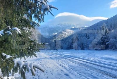 Spațiu comercial, în Central