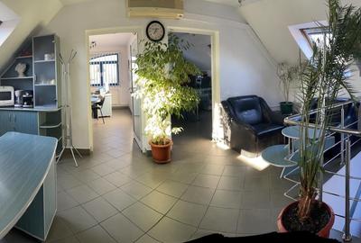 Showroon cu birouri si 3 locuri de parcare,  str. Gh.Doja - 3