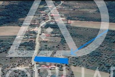 Teren în Central - 1