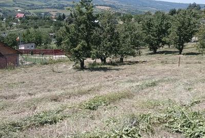 Teren de 1420 mp, în Chicerea - 6