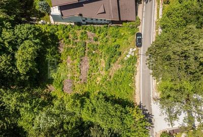 Teren intravilan Poiana Brasov,  cu proiect casa de vacanta tip Chalet - 5