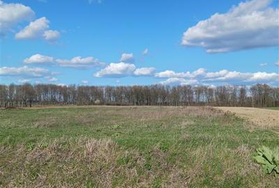 Teren pentru constructii case  de vanzare Iasi, Poiana cu Cetate, - 2