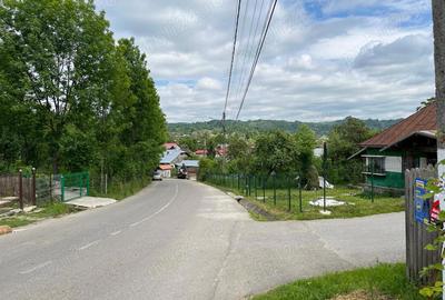 Teren de 4200 mp, în Ocina de Sus - 13