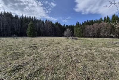 Teren intravilan la baza pădurii Valea Doftanei sat Traisteni (poduri) - 5