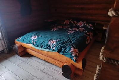 Vand cabana lemn la munte - 1