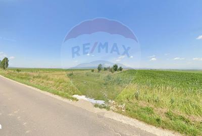 Spațiu comercial, în Satu Nou - 6